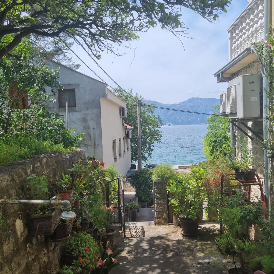 Studio On The Coast, With A View Of The Sunrise,Free We-Fi Κότορ Εξωτερικό φωτογραφία